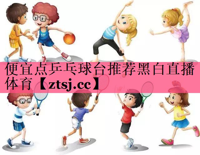 便宜点乒乓球台推荐黑白直播 体育