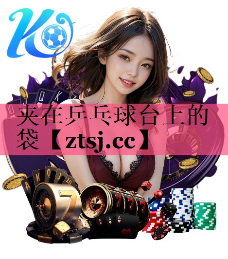 夹在乒乓球台上的袋 夹在乒乓球台上的袋