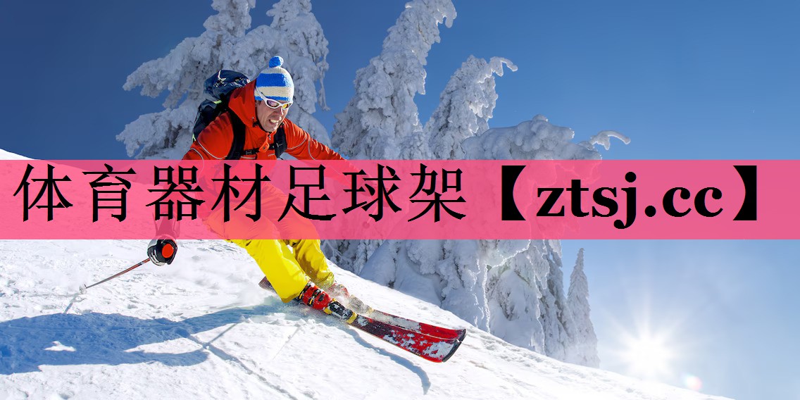 体育器材足球架 体育器材足球架