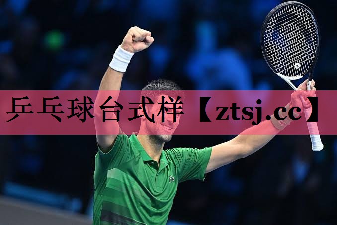 乒乓球台式样 乒乓球台式样