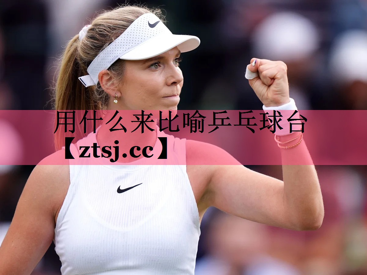 用什么来比喻乒乓球台 用什么来比喻乒乓球台