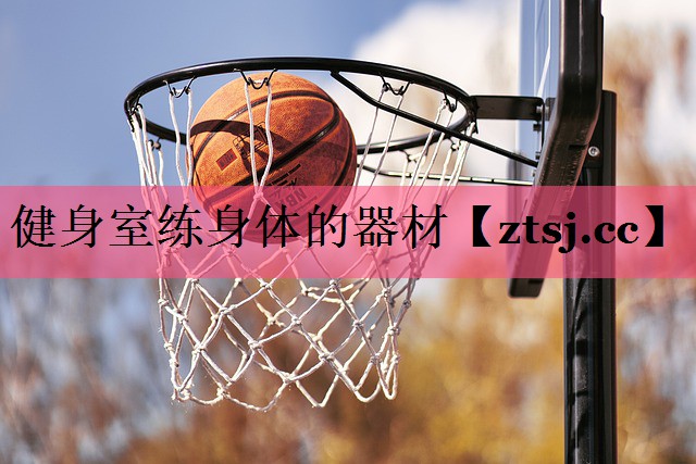健身室练身体的器材 健身室练身体的器材