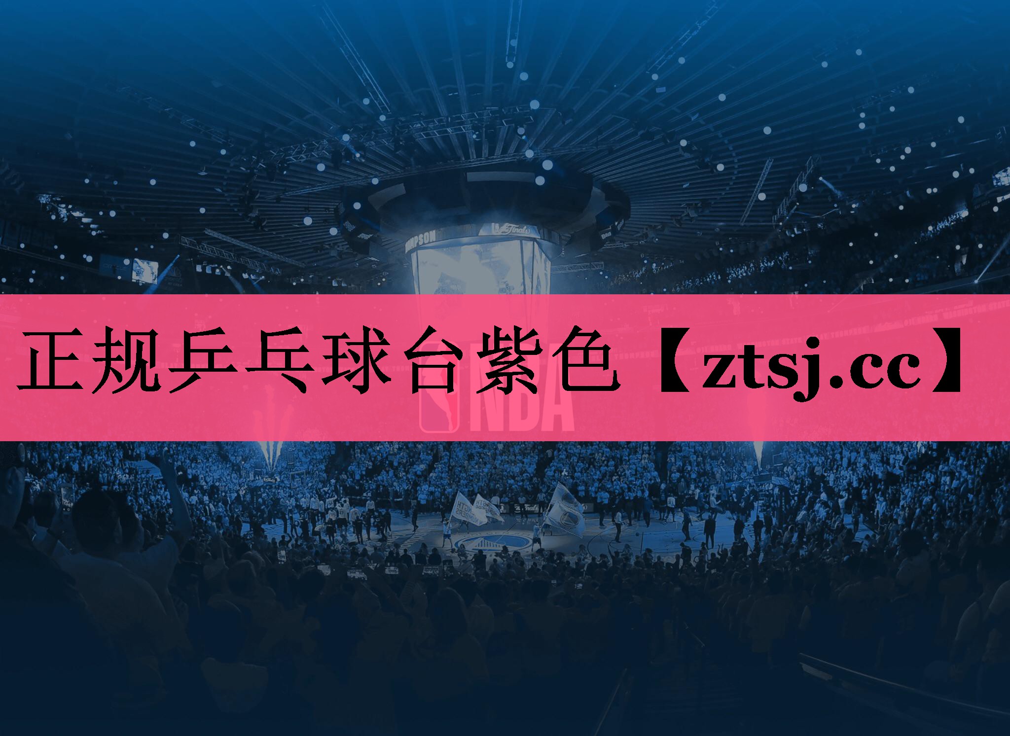 正规乒乓球台紫色