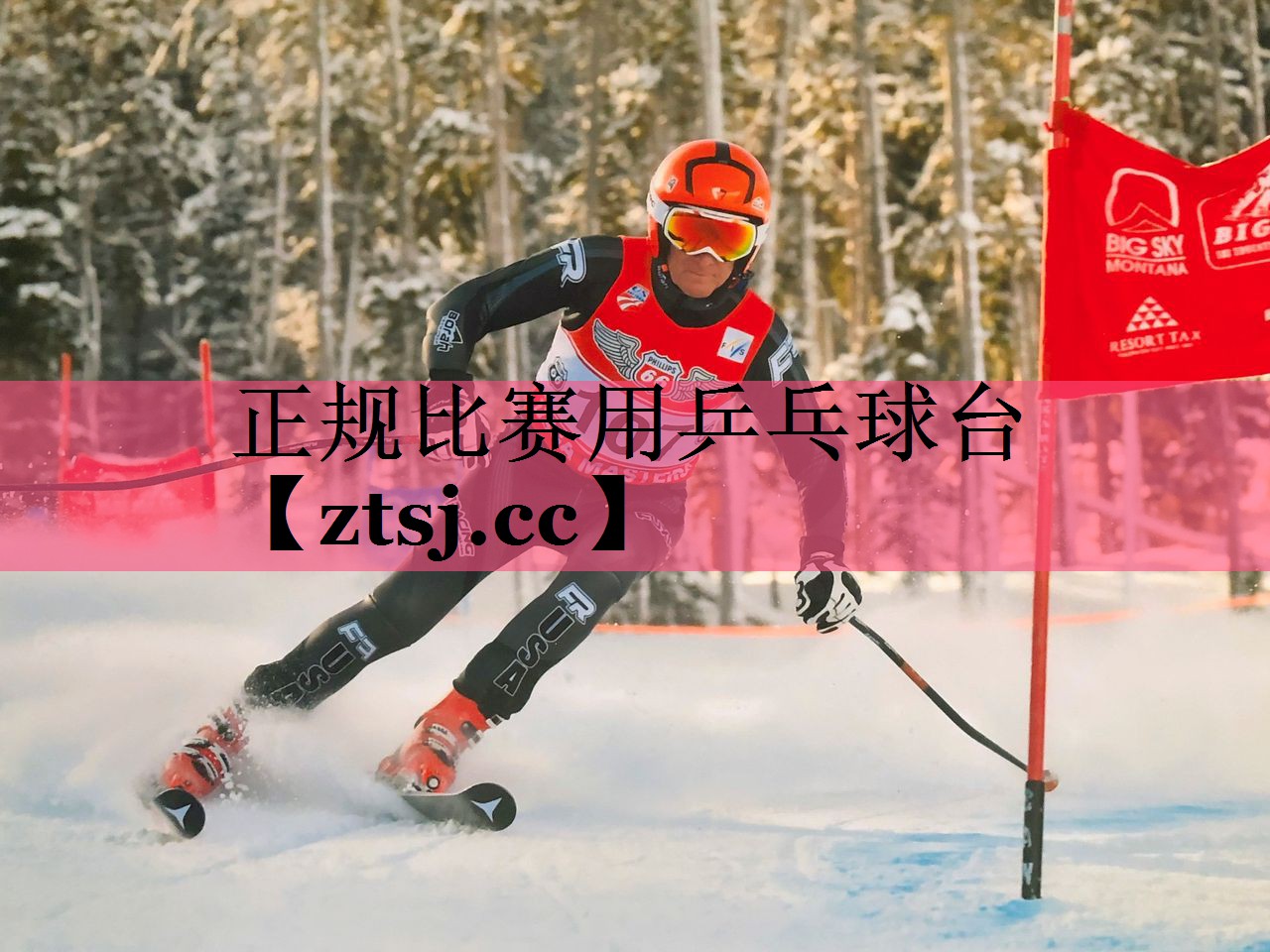 正规比赛用乒乓球台 正规比赛用乒乓球台