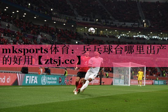 乒乓球台哪里出产的好用 乒乓球台哪里出产的好用